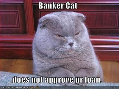 Meme - Banker cat does not approve your loan