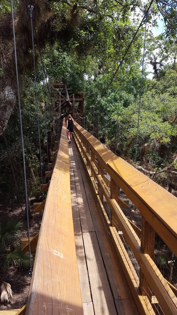 Exploring the canopy walkway at Myakka River State Park