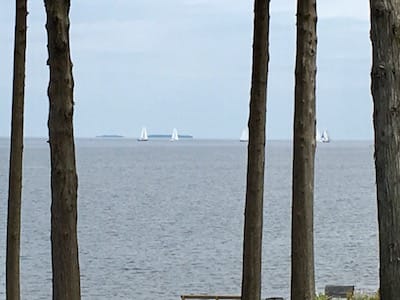 Sailboats on the lake